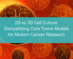 2D vs 3D Cell Culture: Demystifying Core Tumor Models for Modern Cancer Research - cover